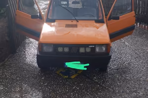 Panda 4x4 van
