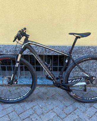 Specialized stumpjumper
