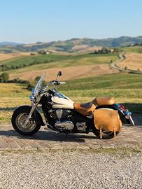 KAWASAKI VN900 CUSTOM 