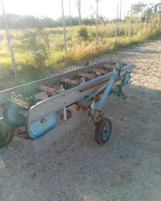 Ranghinatore 