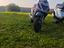Immagine 2