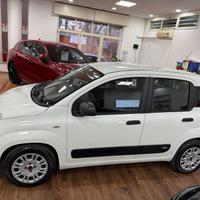 FIAT PANDA 1.2 69CV - Marzo 2019
