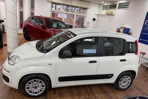 FIAT PANDA 1.2 69CV - Marzo 2019