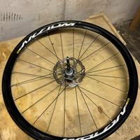 Ruota Mavic Aksium Disc 700c + Continental