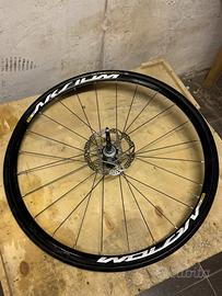 Ruota Mavic Aksium Disc 700c + Continental