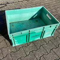 Contenitore in plastica