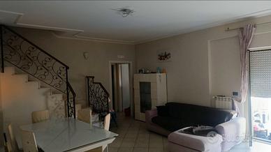 Duplex frasso