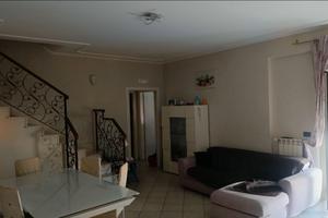 Duplex frasso