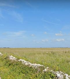 Terreni agricoli 52 ettari