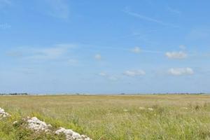 Terreni agricoli 52 ettari