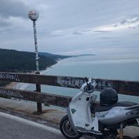 smembro malaguti f15