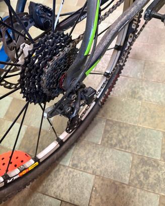 Trek carbonio