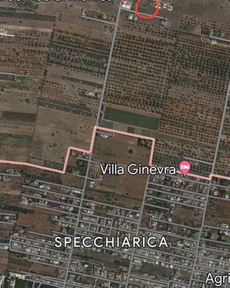 Terreno ad 1 Km dal mare in località Specchiarica