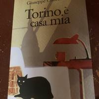 “Torino è casa mia” - Giuseppe Colicchia