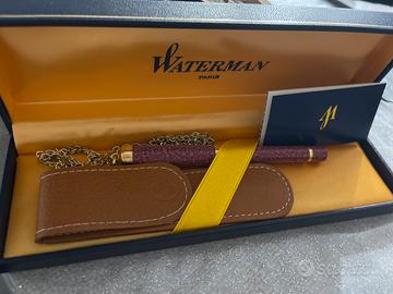 Penna stilografica waterman paris