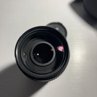 Nikon AF Nikkor 70-300 mm 4-5.6 G