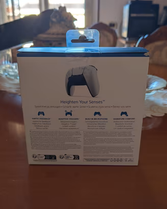 Controller ps5