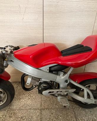 Minimoto e accesori
