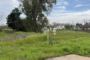 TER. AGRICOLO A FRANCAVILLA FONTANA