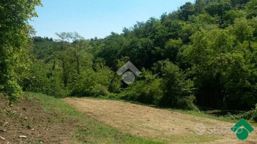 TER. AGRICOLO A TEOLO - Vista 4