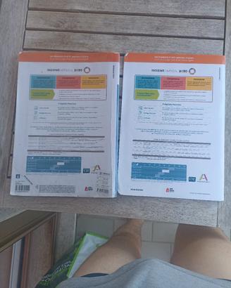 libri into focus B1 + build up