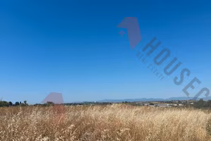 Località Gannì: Terreno agricolo