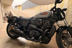 Harley Davidson Nighster s