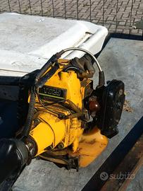 Decespugliatore Kawasaki TG 25 GRIPPATO