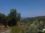 Immagine 29