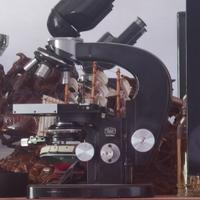 Vintage dei telescopi e dei microscopi Zeiss