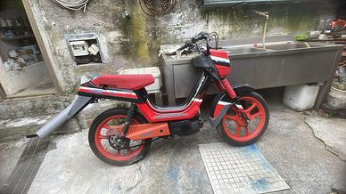 1988 ATALA MASTER FIRE