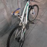 Bici mountain bike