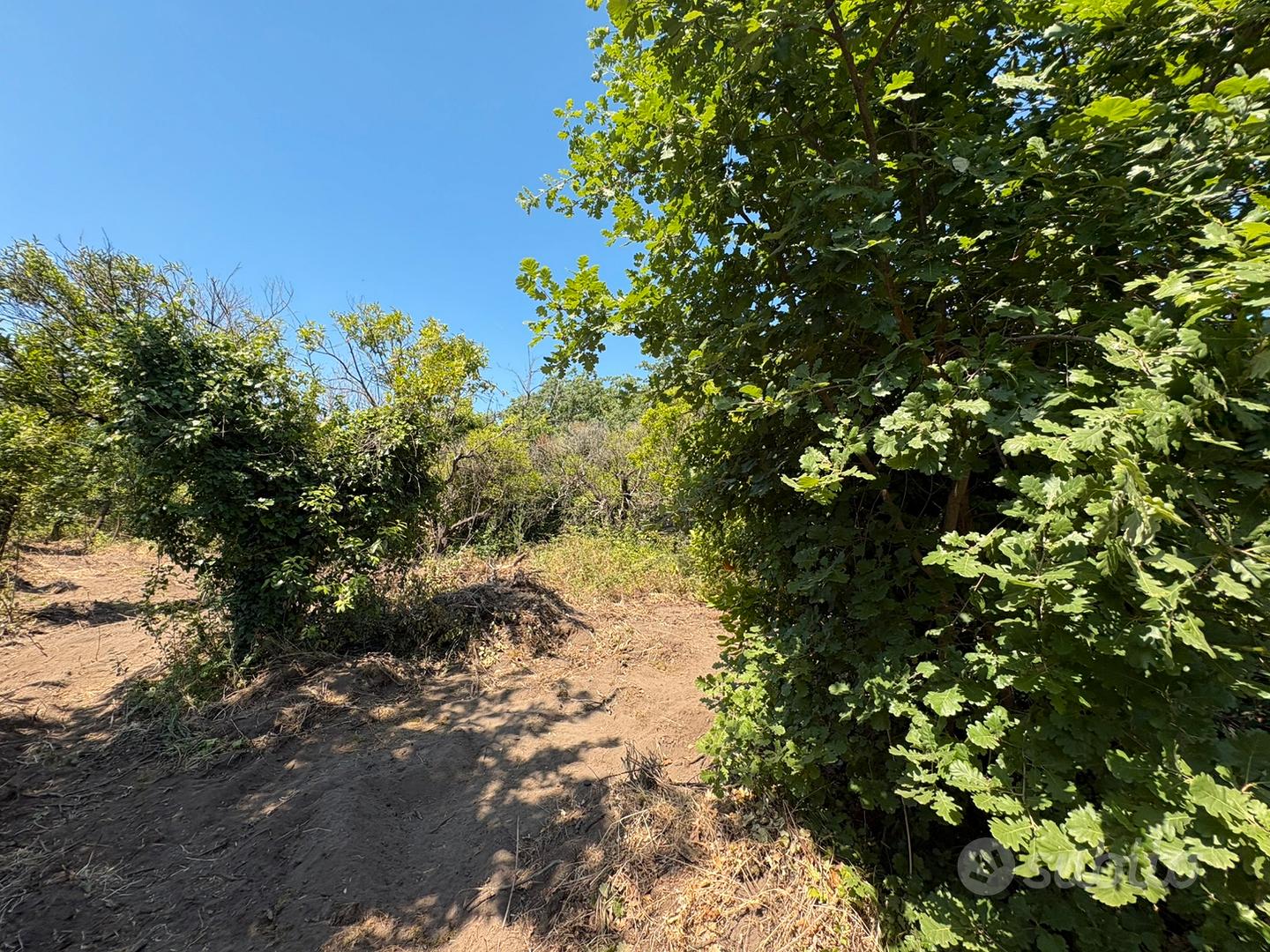 Terreno 4000 mq a Boscotrecase con rudere - Vista 5
