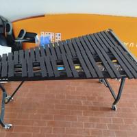 Xilofono Musser M21