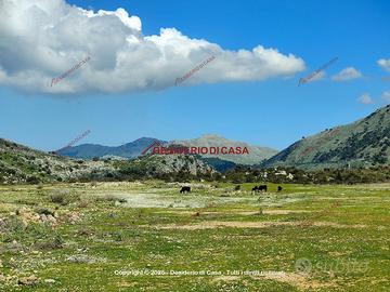 Terreno, Torretta.