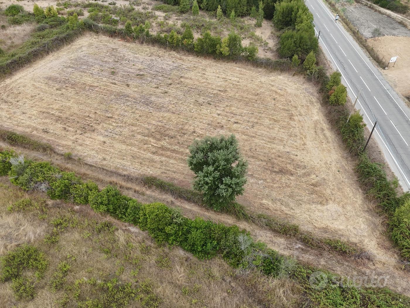 Terreno Agricolo Tortolì [Cod. rif 3255514VRG] - Vista 3