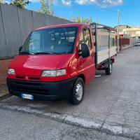 Citroenjumper cassone fisso-centina