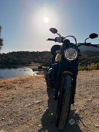 Ducati scrambler 800 icon