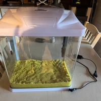 Acquario 36 l