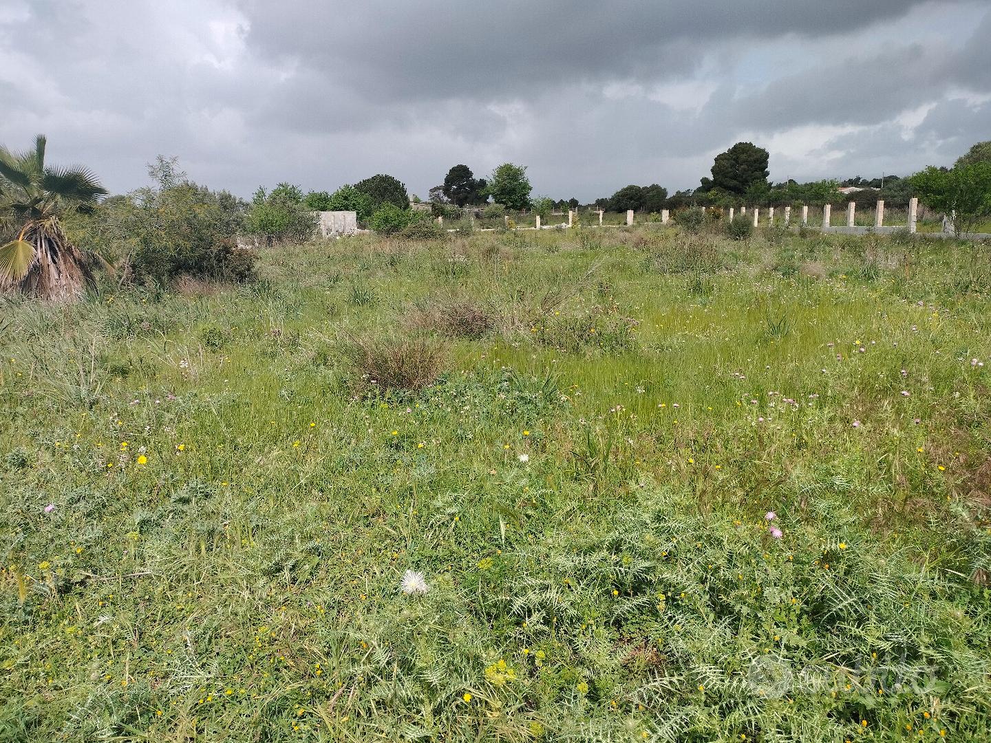 1 km dal mare - Vista 3