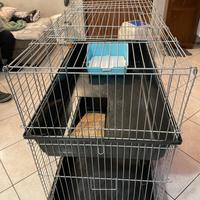 gabbia coniglio nano o altri roditori 