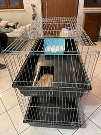 gabbia coniglio nano o altri roditori 