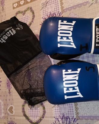 Guantoni Leone boxe kickbox