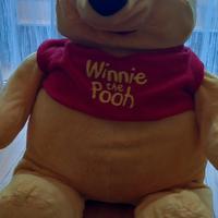 peluche winnie the pooh