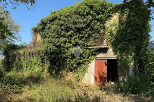 CASA INDIPENDENTE A PIGNATARO INTERAMNA