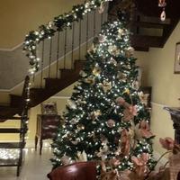 Albero di Natale Abete