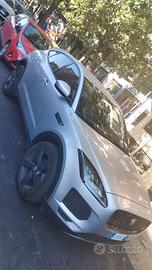 Jaguar e pace  