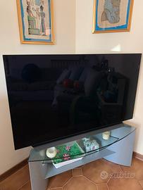 Tv Oled LG OLED55CS6LA con schermo danneggiato