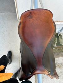 Sella Delgrange salto misura 17.5