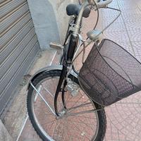 bicicletta pieghevole ruota 24